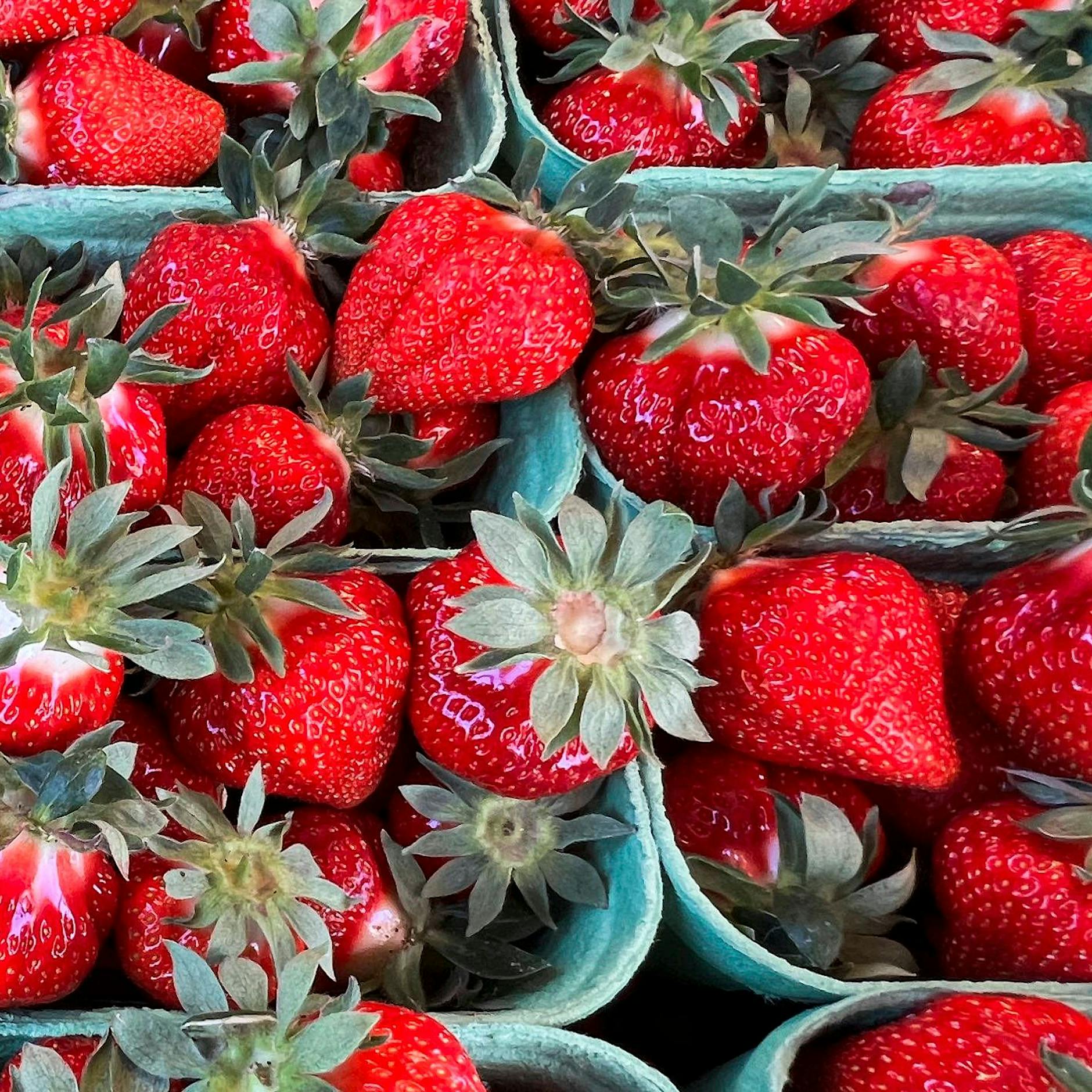 Erdbeeren richtig lagern: So bleiben die süßen Früchte länger frisch!