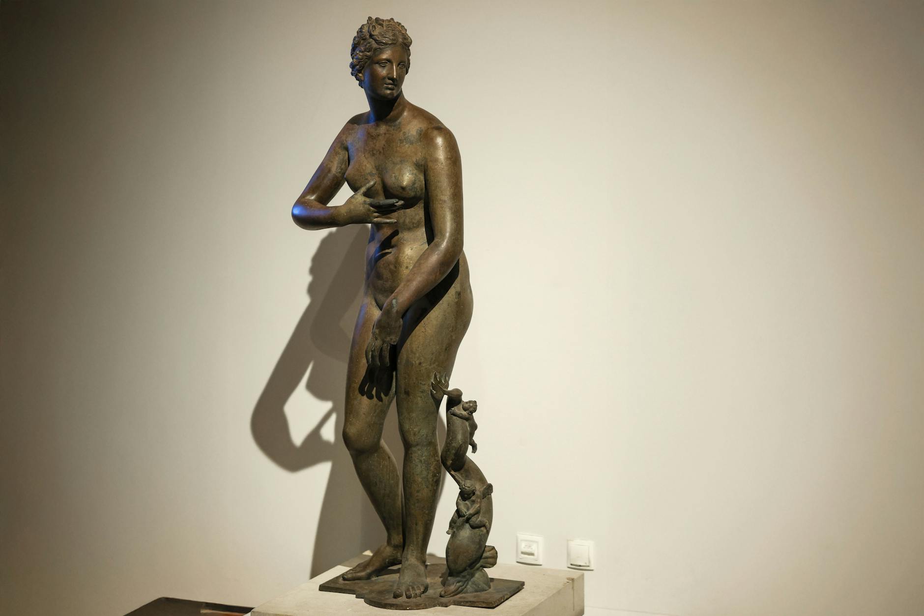 Die Bronzekopie der „Venus Medici“ (das Marmor-Original steht in den Uffizien von Florenz) hat eine neue Heimat in der Dauerschau des Leipziger Grassi-Museums. Die Figur war einst im Besitz des NS-Verbrechers Hermann Göring und wurde 1945 im See vor Görings Anwesen versenkt. Erst 1990 wurde sie geborgen.