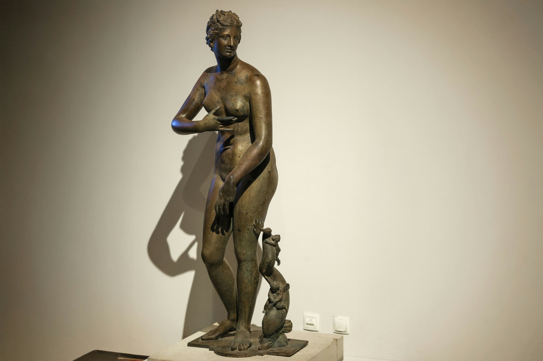 Die Bronzekopie der „Venus Medici“ (das Marmor-Original steht in den Uffizien von Florenz) hat eine neue Heimat in der Dauerschau des Leipziger Grassi-Museums. Die Figur war einst im Besitz des NS-Verbrechers Hermann Göring und wurde 1945 im See vor Görings Anwesen versenkt. Erst 1990 wurde sie geborgen.