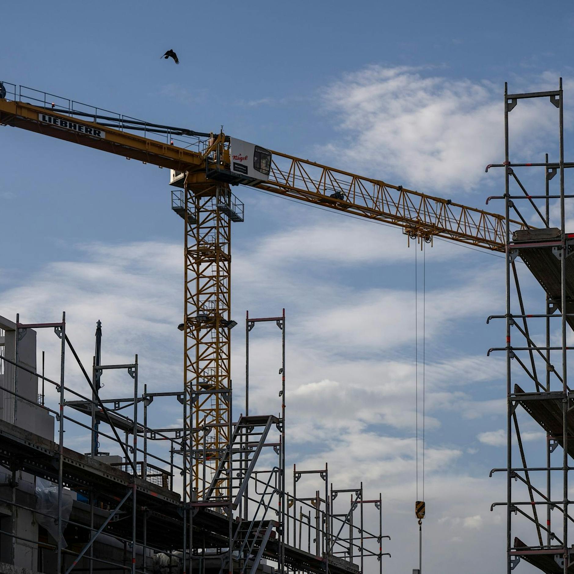 Marzahn-Hellersdorf: Hier entstehen 128 neue, günstige Mietwohnungen