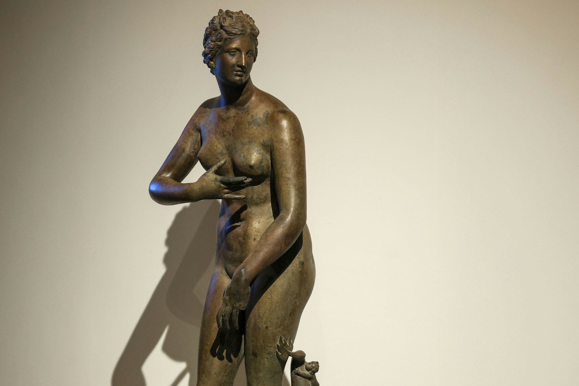 Die Bronzekopie der Venus steht im Grassi-Museum.