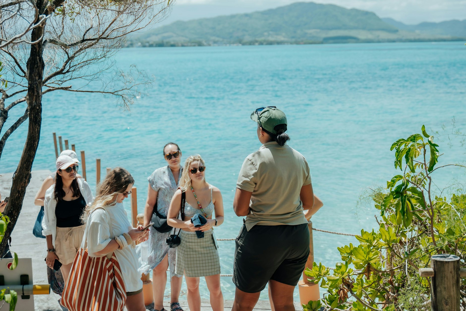 Wir besuchen die Insel Île aux Aigrettes – ein streng geschütztes Naturreservat, das heute wieder beheimatet, was lange verschwunden war: seltene Vögel, endemische Pflanzen und Riesenschildkröten.