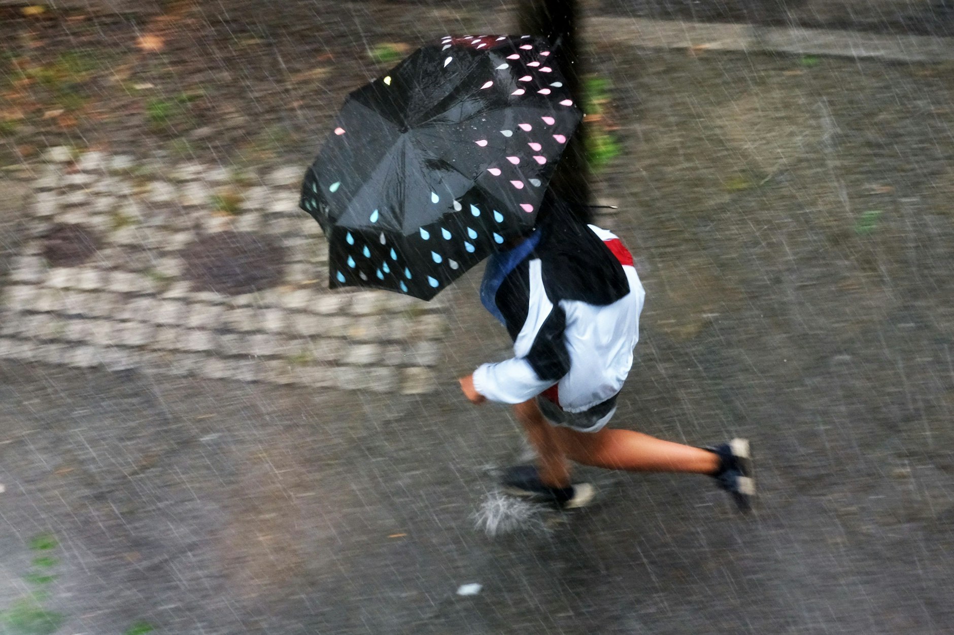 Auf Berlin und Umgebung kommen am Montag Gewitter zu.