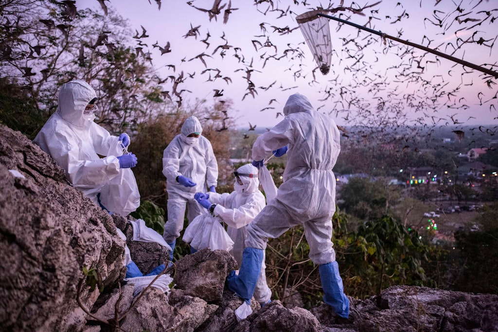 The origin of the pandemic and the premature conclusions of climate ...