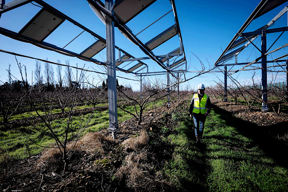 Die Preise für Solarstrom sind im Keller. Landwirtschaftliche Photovoltaikanlagen auf dem Bauernhof in der Nähe des südfranzösischen Saint-Martin-de-Crau, die von TotalEnergies getestet werden.