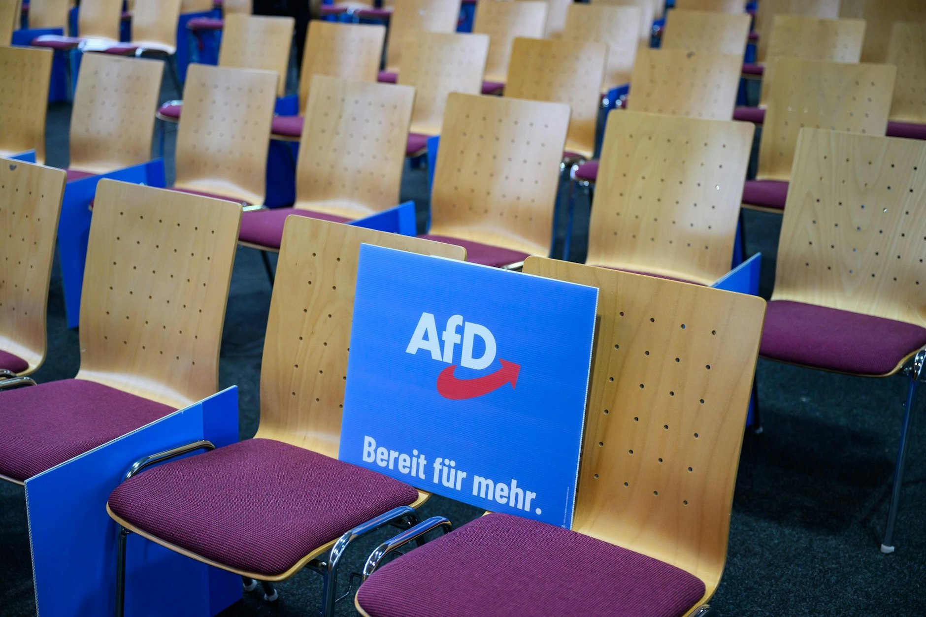 In Brandenburg steht die AfD seit April 2023 in den Umfragen vorn, nur zur Landtagswahl im September 2024 siegte die SPD.