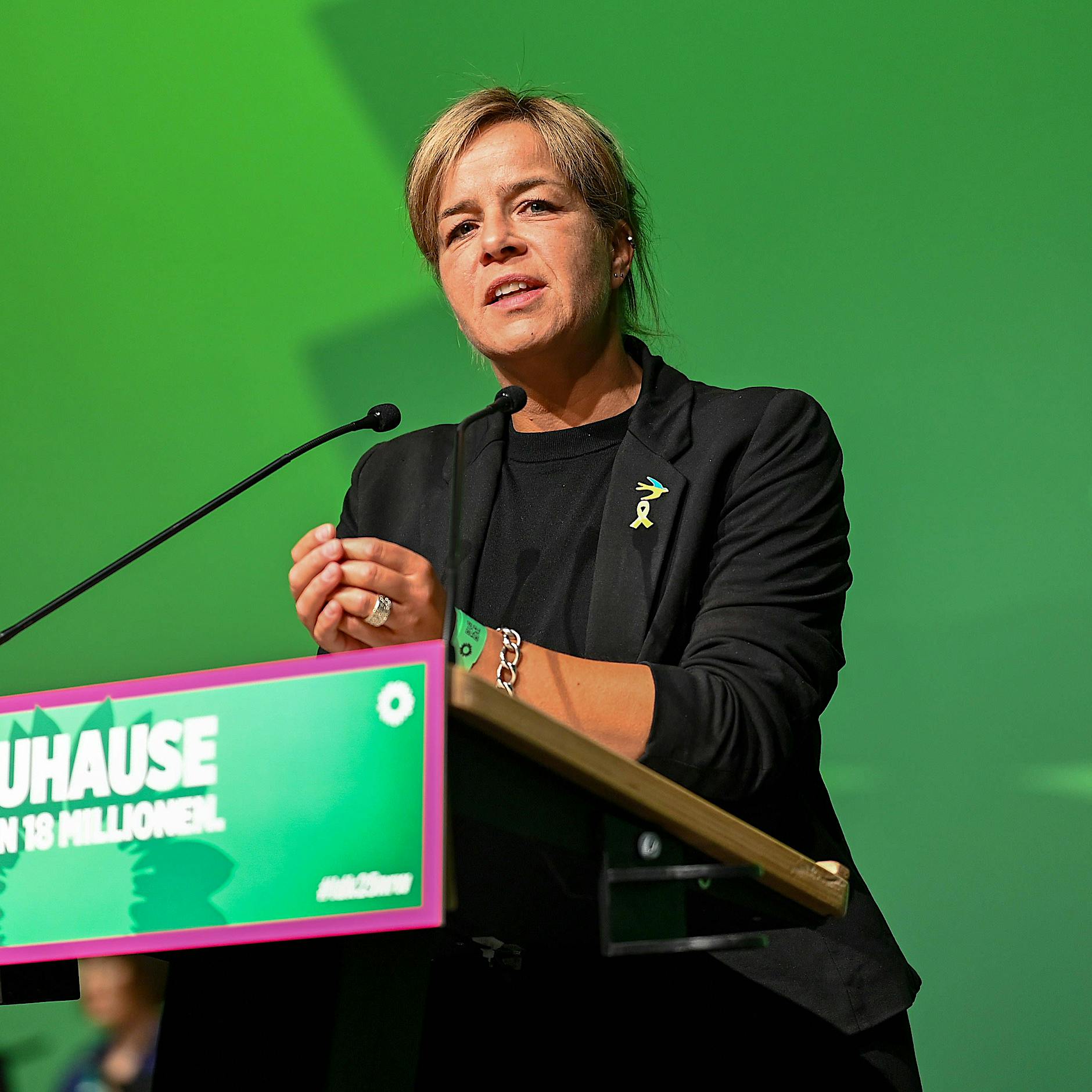 Grüne fordert Milliarden für „Wiederaufbau West“: Scharfe Kritik aus Ostdeutschland