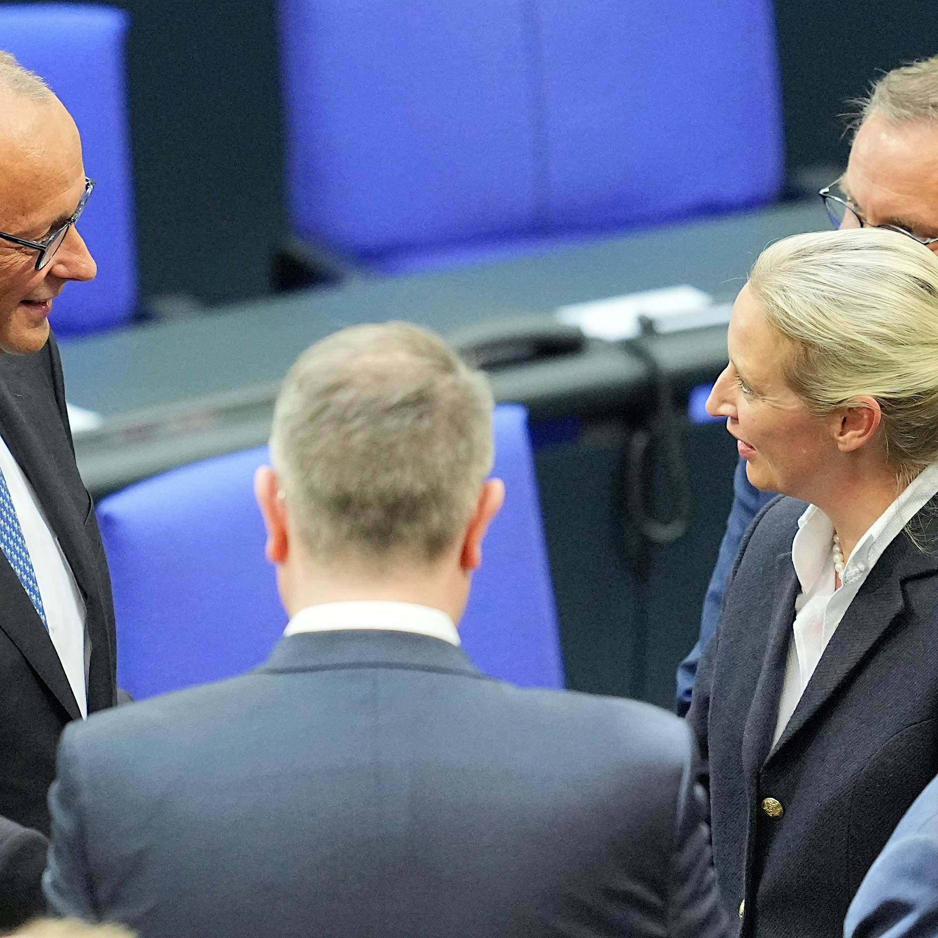 Neue Umfrage: So groß ist der Abstand zwischen Union und AfD