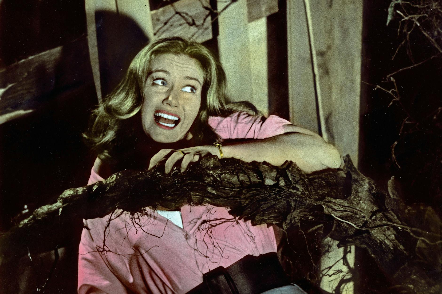 „Blumen des Schreckens“ wird im Rahmen der Reihe "Cinema Surreal 2025" in der Sammlung Scharf-Gerstenberg zu sehen sein