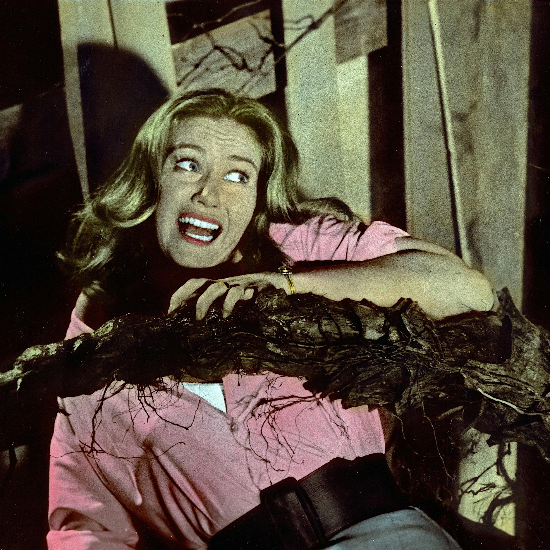 Surreales Kino: Rache der Vegetation – fleischfressende Pflanzen stürzen sich auf blinde Menschen