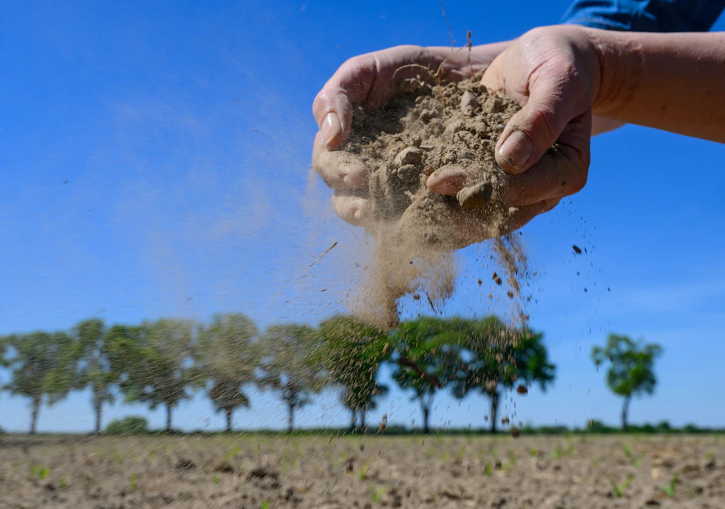Dürre im Sommer 2025 in Ostdeutschland erwartet: Das sind die Folgen