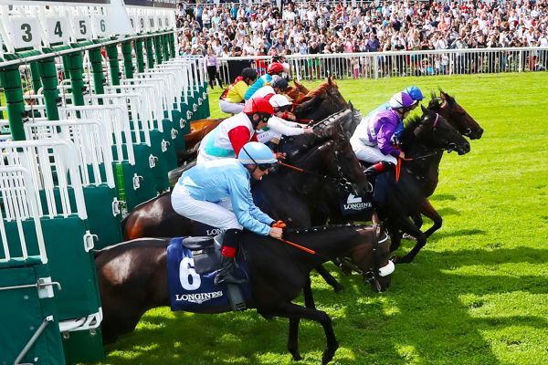 Image - Pferderennen in Hoppegarten 2025. Die Renntage und Tickets hier!