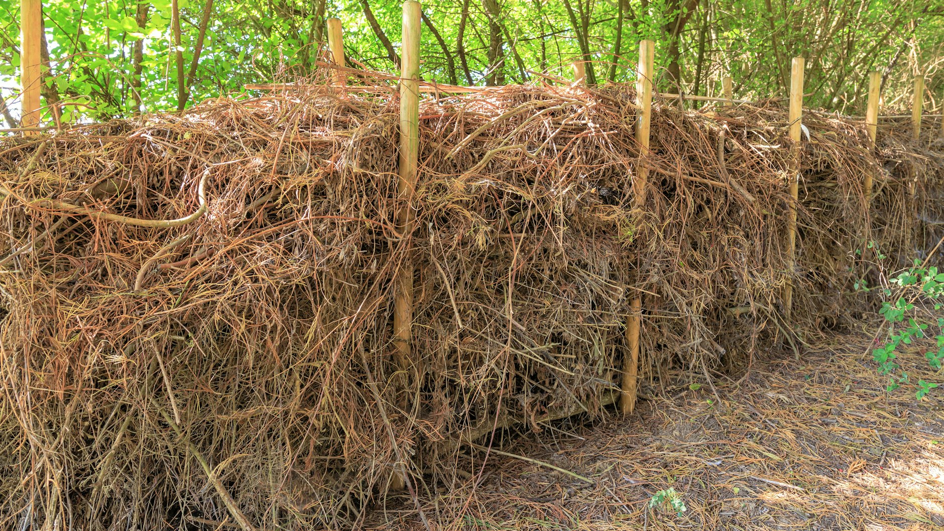 Dieser Sichtschutz bräuchte noch einen Sichtschutz: Eine solche Hecke soll bald rund um den Weißen See entstehen. Sie soll das empfindliche Ufer schützen.