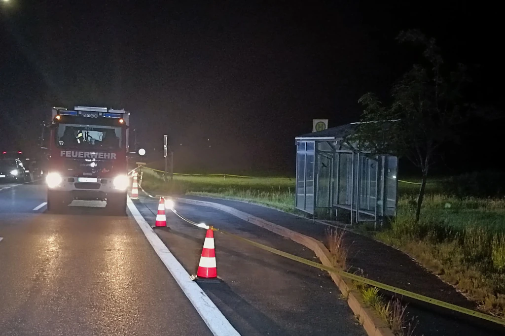 Schusswechsel bei Kontrolle an der deutschen Grenze: Polizei erschießt ...