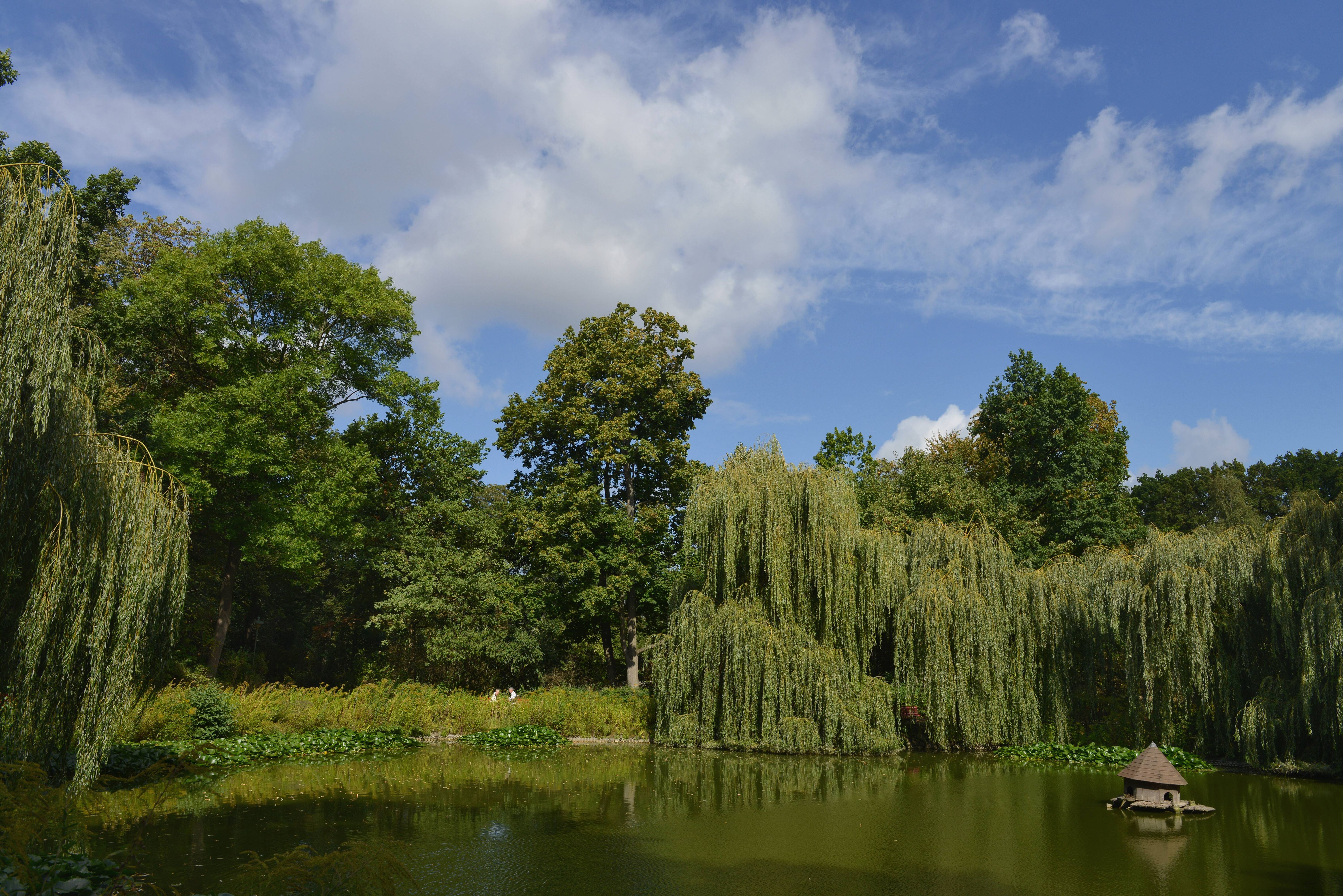 Steglitz-Zehlendorf: Kostenlose Open-Air-Konzerte im Stadtpark Steglitz
