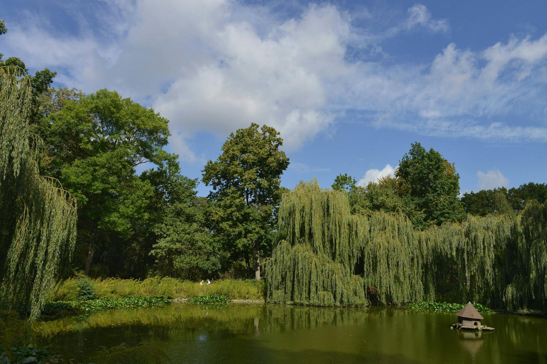 Steglitz-Zehlendorf: Der Stadtpark Steglitz wird auch in diesem Jahr zur Kulisse mehrerer Open Airs.