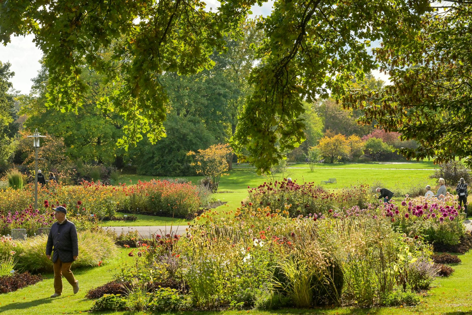 Im Britzer Garten in Neukölln können Auszubildende ihr Können unter Beweis stellen und den GaLa-Cup gewinnen.