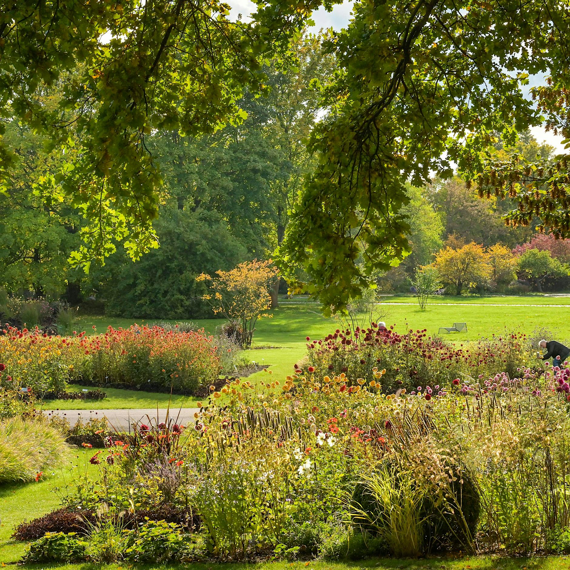 Neukölln: Erster Berliner Garten- und Landschaftsbau-Cup für Azubis im Britzer Garten