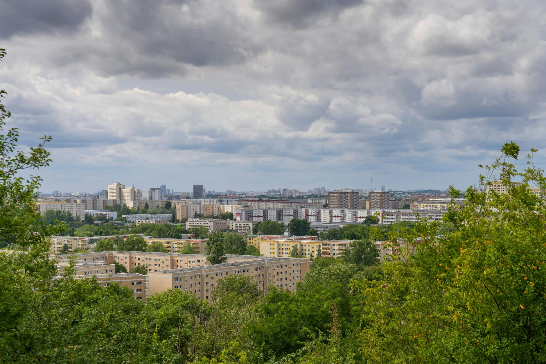 Das Naturschutzgebiet Ahrensfelder Berge in Marzahn-Hellersdorf.