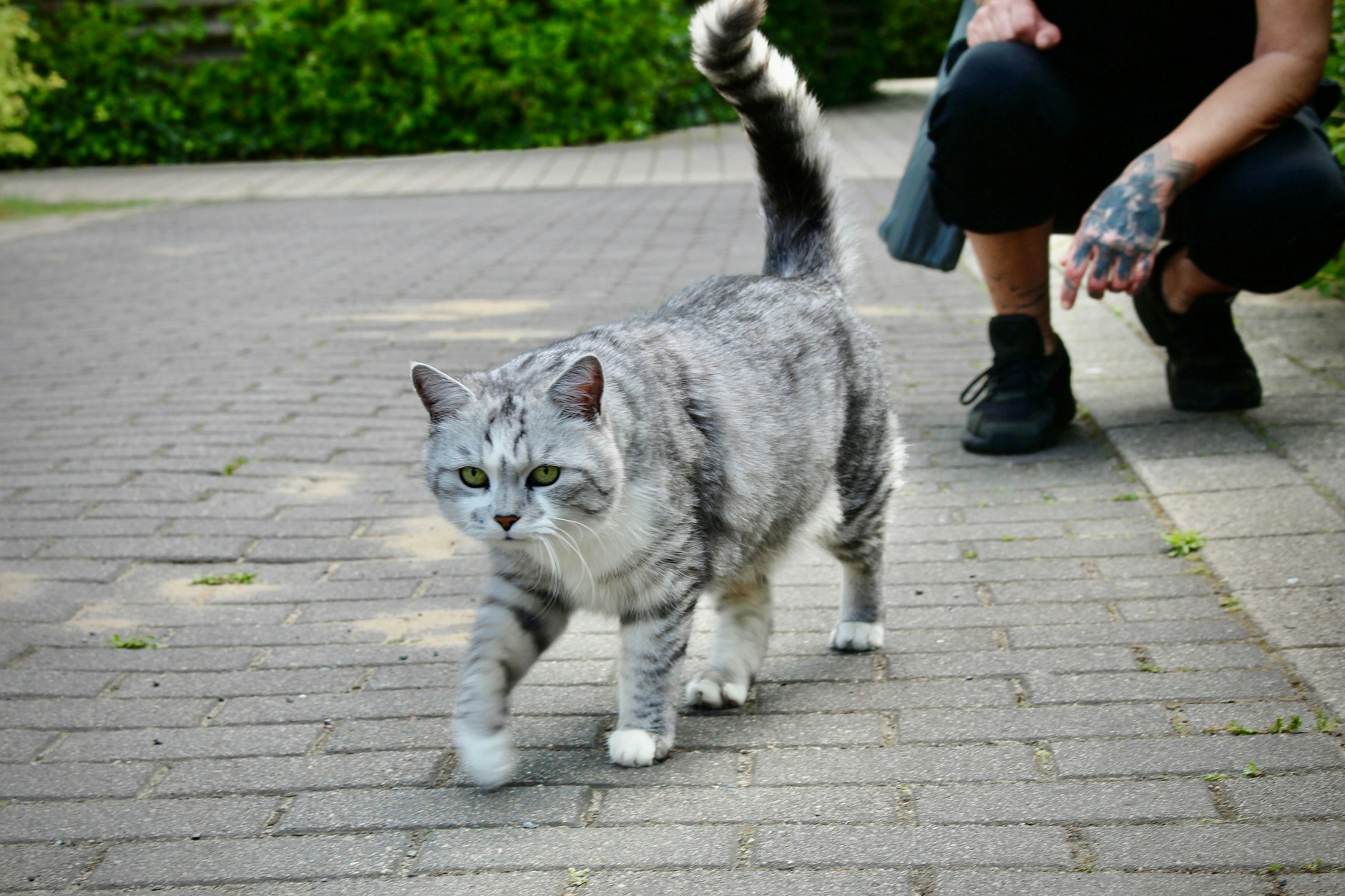 Silvia El Halfaoui, 45 und ihr 15-jahre alter Kater lieben das schöne grüne Marzahn: „In Kreuzberg könnte ich nicht einfach mit meiner Katze spazieren gehen. In Marzahn kann ich das."