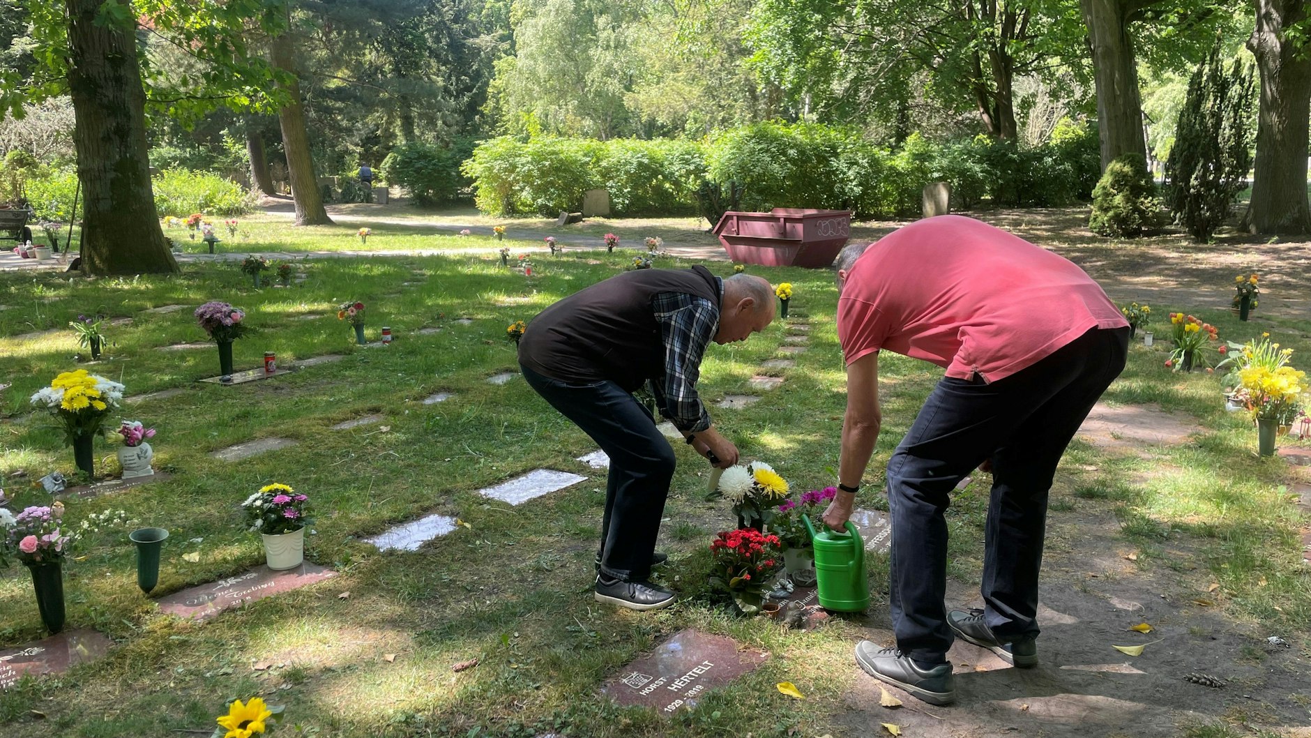 Friedhof der Genossen in Berlin-Lichtenberg seit Monaten ohne Wasser 

Zwei Friedhofsbesucher gießen mit mitgebrachtem Wasser ihre Grabstellen.