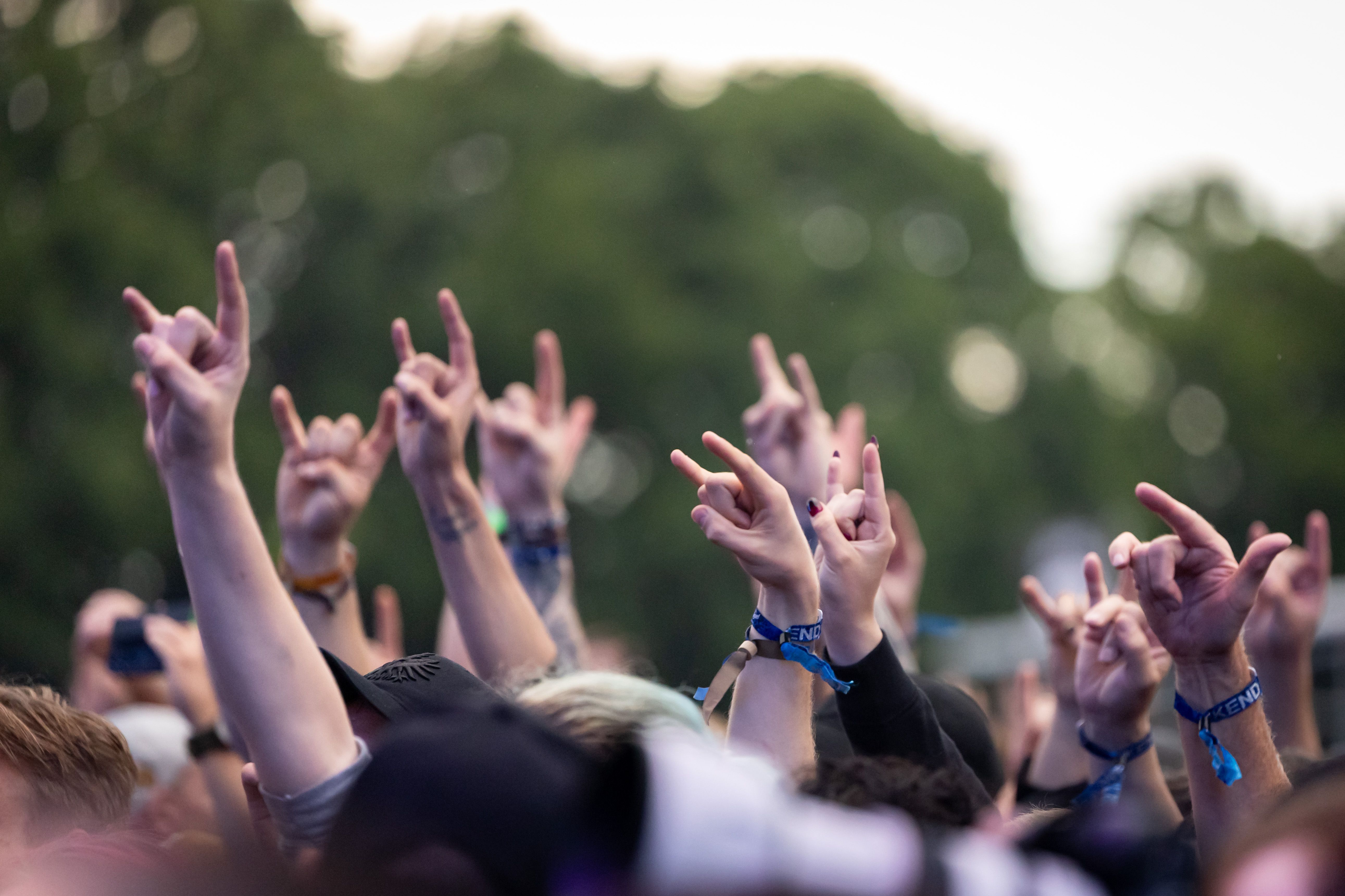 Image - Schock bei Rock im Park: Rettungskräfte müssen Mann wiederbeleben