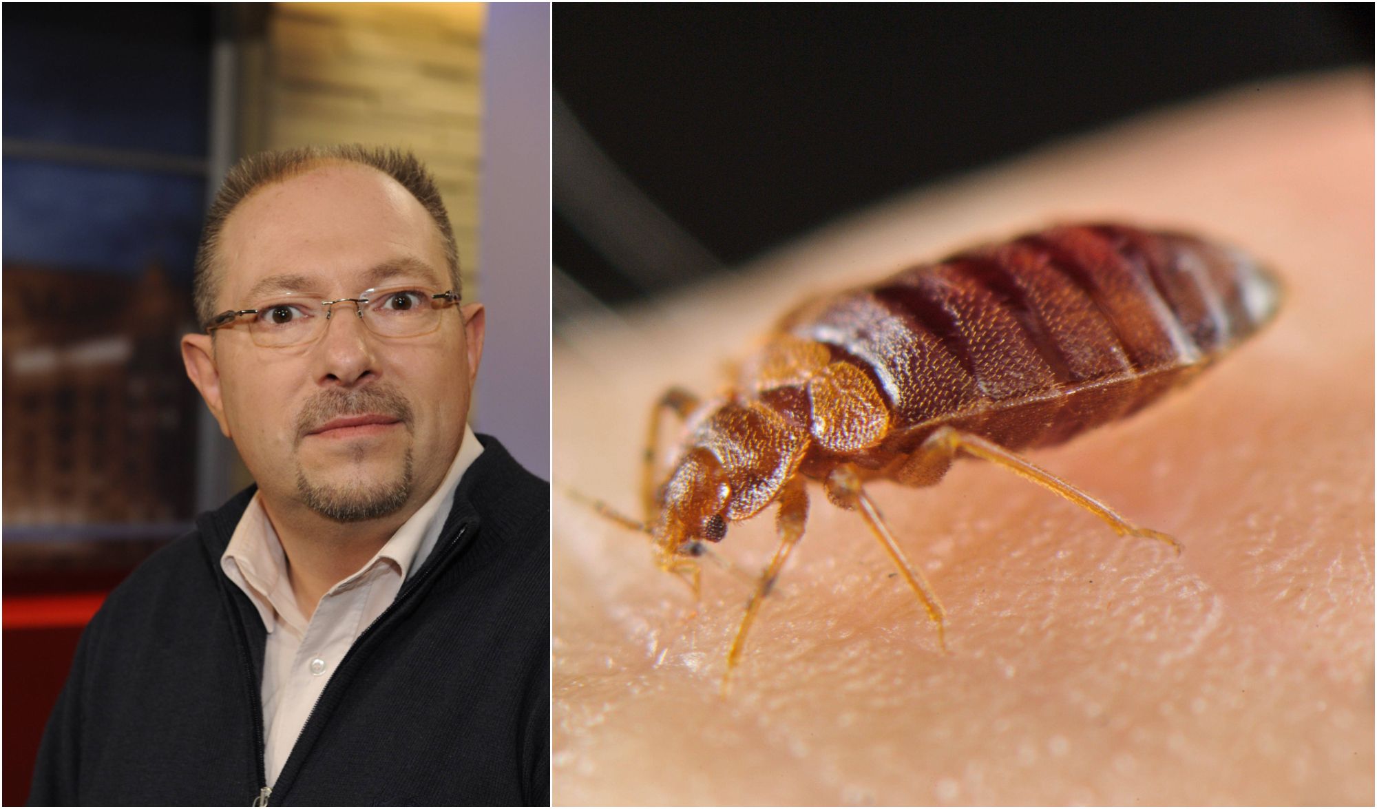 Image - Polizei Berlin: Bettwanzen in Arrestzellen – Biss gilt als Dienstunfall!