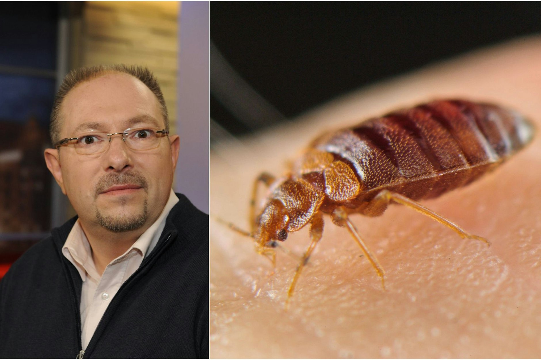 In zwei Berliner Gefangenensammelstellen gibt es ein ernstes Problem mit Bettwanzen. Besonders stark betroffen ist der Standort Friedrichshain. Dort wurden bereits im November 2024 Milben entdeckt, seit April 2025 treten Bettwanzen auf. Links: Der Vorsitzende der Berliner DPolG (Gewerkschaft der Polizei) Bodo Pfalzgraf (2013).