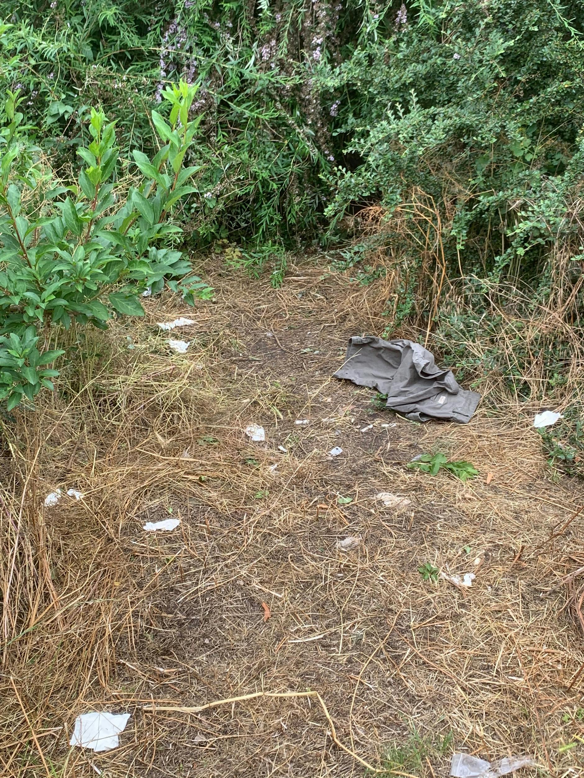 Durch diese Büsche an der Karl-Marx-Allee wurden Trampelpfade getreten.