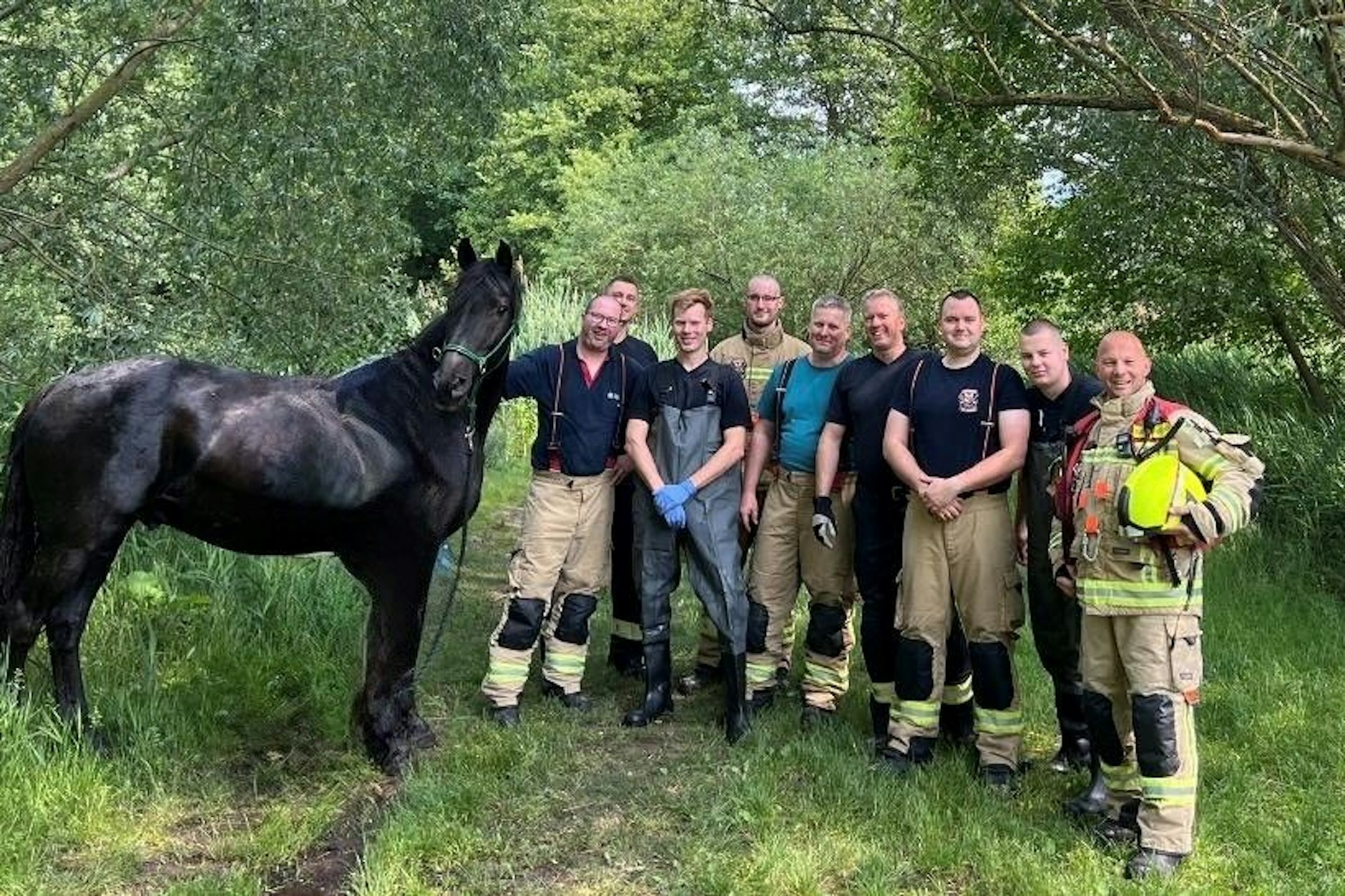 Gesund und unverletzt: Neun Retter der Freiwilligen Feuerwehr Berlin-Buch zogen den Wallach aus dem verschlammten Teich.