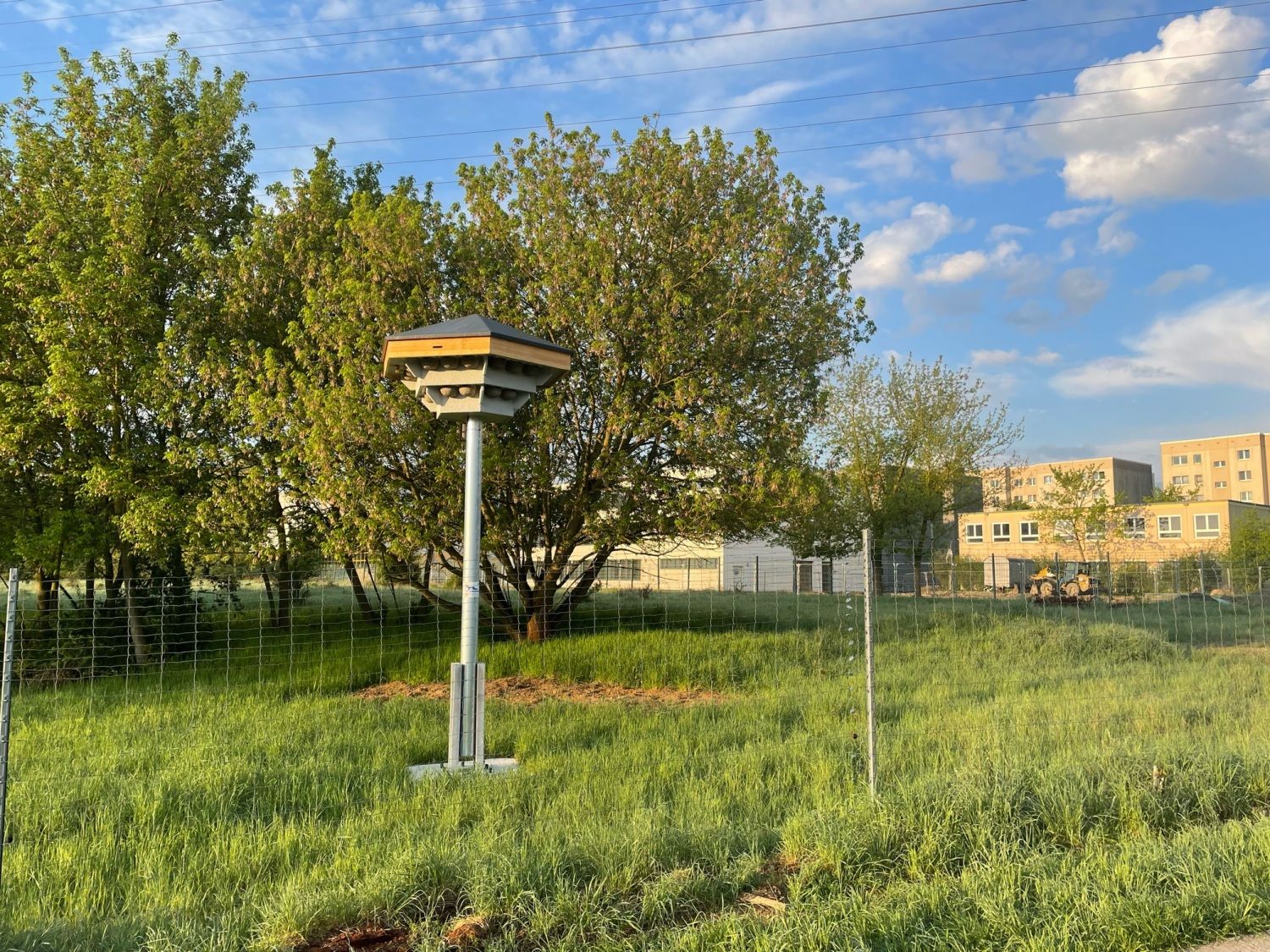 Marzahn-Hellersdorf: Hier wurden acht Türme für Schwalben und Fledermäuse errichtet