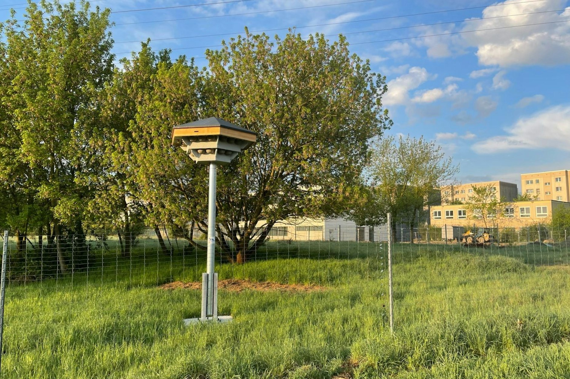 Ab sofort gibt es acht neue Türme für Schwalben und Fledermäuse in Marzahn-Hellersdorf.