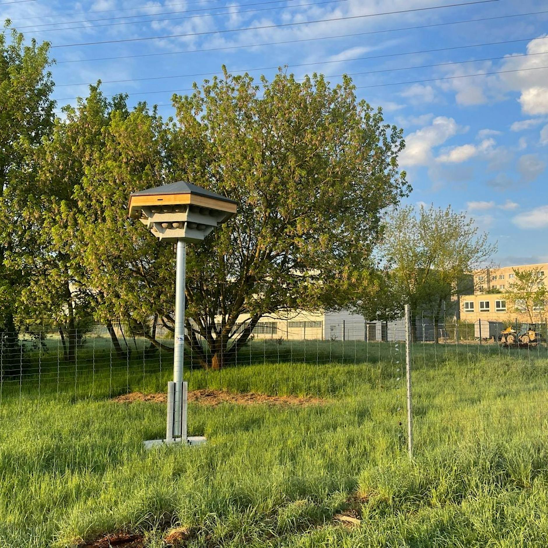 Marzahn-Hellersdorf: Hier wurden acht Türme für Schwalben und Fledermäuse errichtet