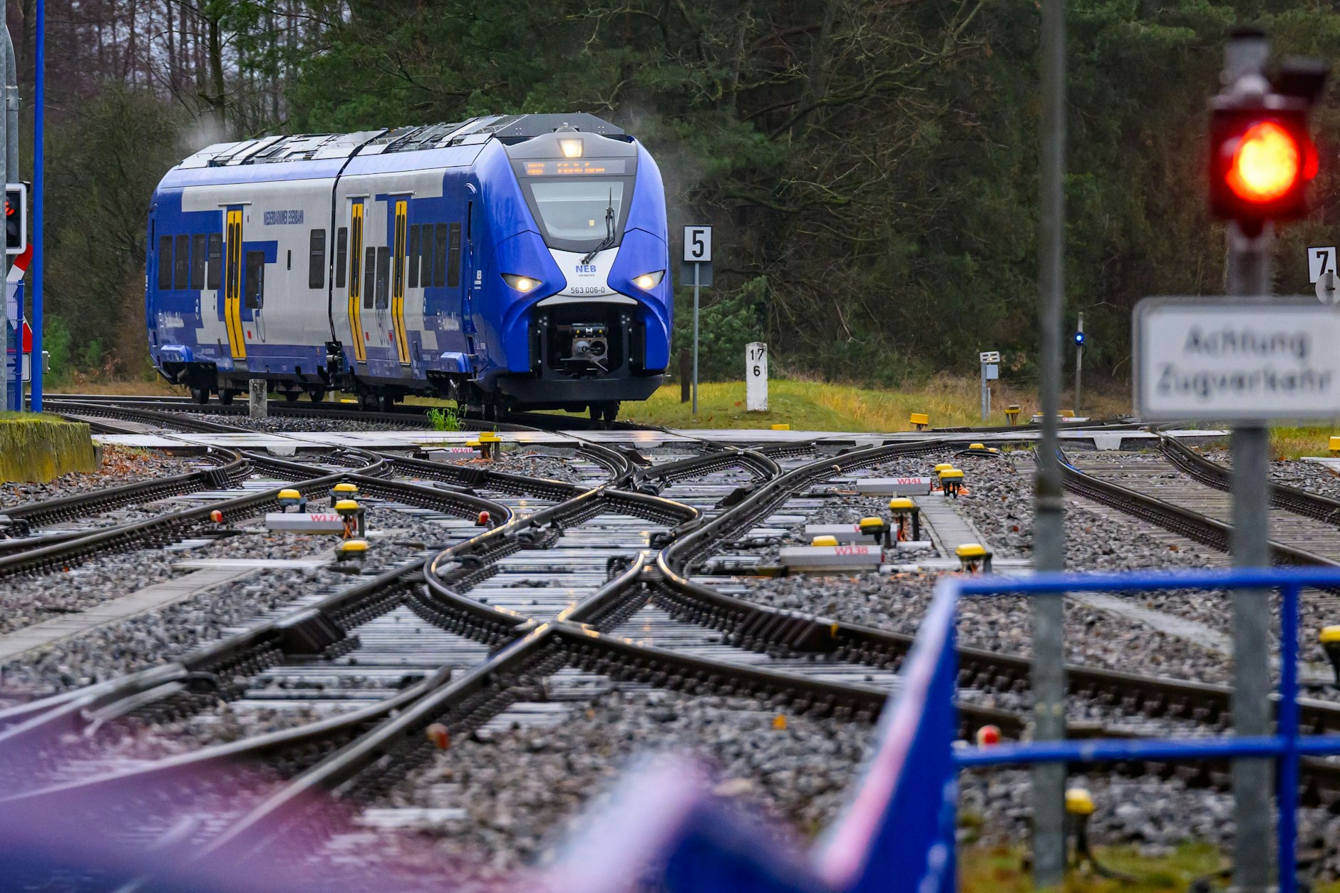 Ein Wasserstoffzug des Typs Siemens Mireo Plus H ist auf der Heidekrautbahn nördlich von Berlin unterwegs. Auf dem RB27-Streckenast nach Wensickendorf gibt es ab Dezember weniger Fahrten.
