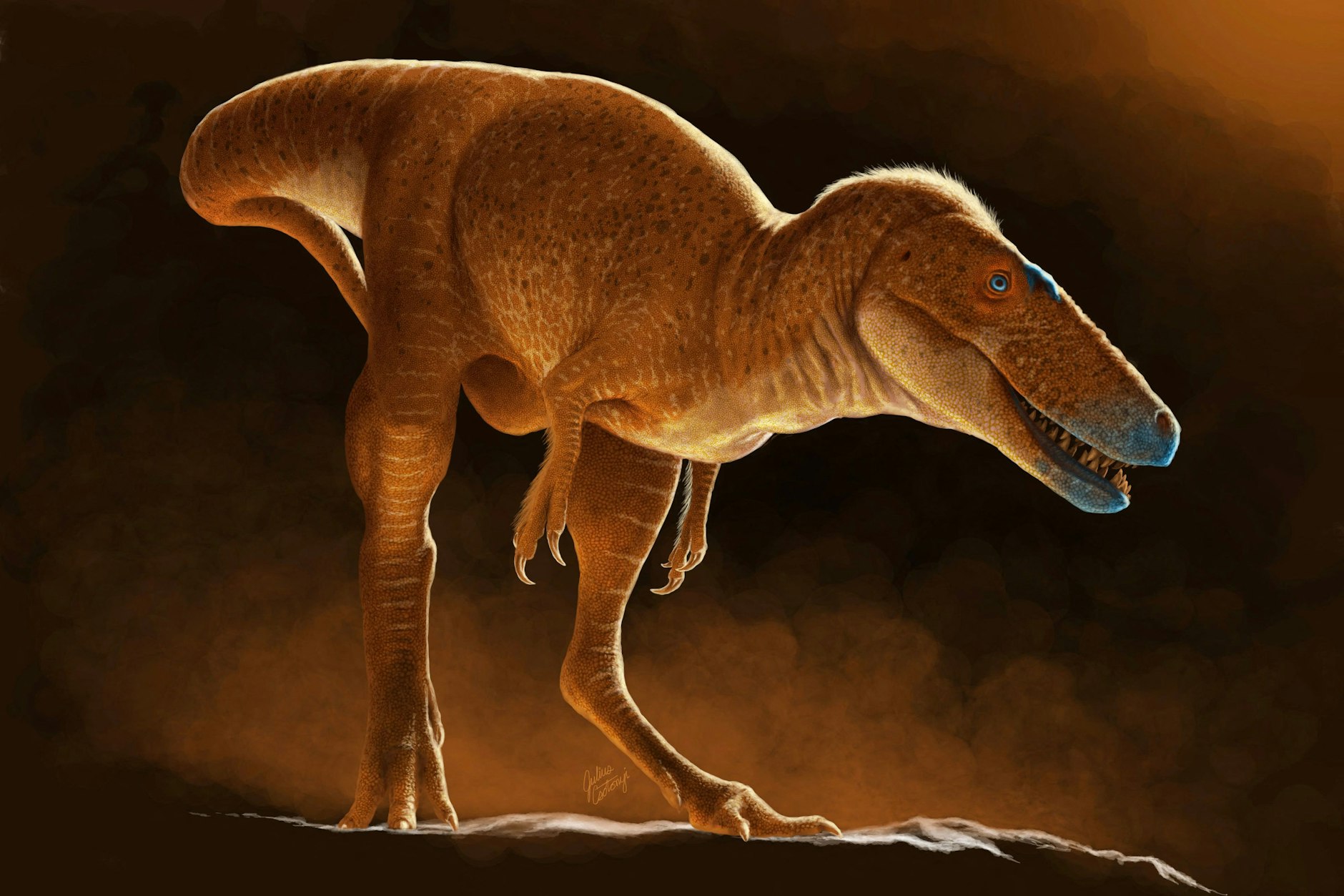 Diese von der Universität von Calgary am 6. Juni 2025 zur Verfügung gestellte Illustration zeigt die neu entdeckte Dinosaurierart Khankhuuluu mongoliensis