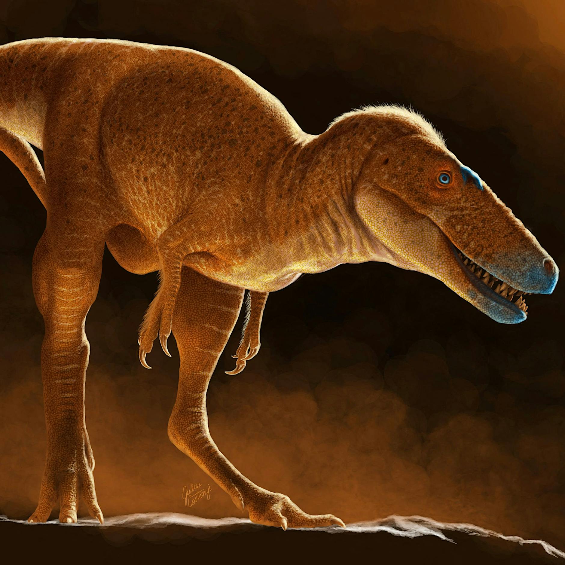 Vorfahre von T-Rex: Forscher entdecken neue Dinosaurier-Art