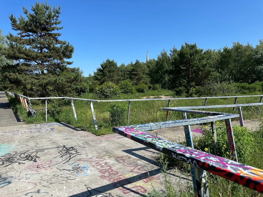 Biene zu dick für Blüte: Der Park am Nordbahnhof nutzt keinem was