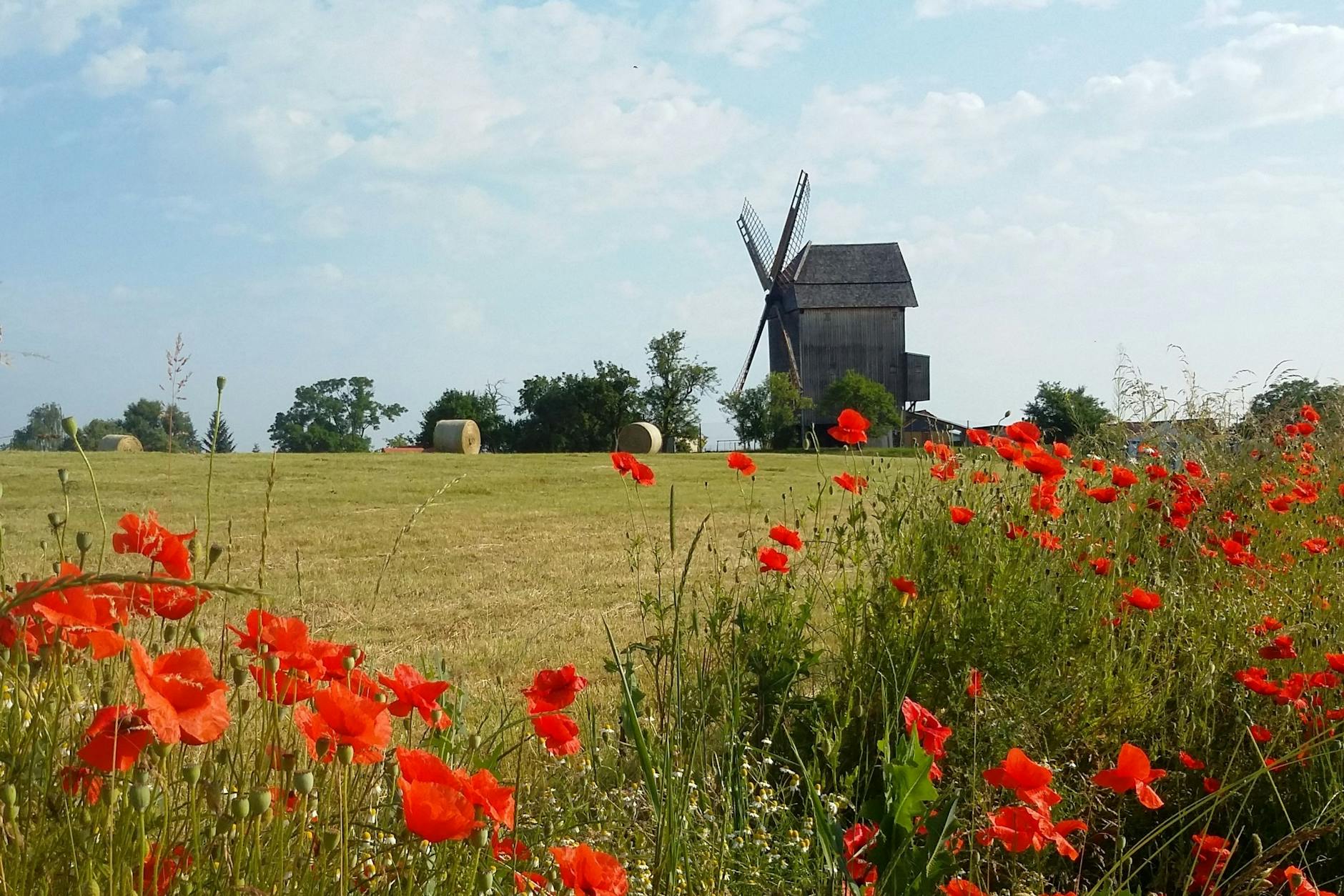 Die Bockwindmühle in Vehlefanz, gelegen am Ortsausgang Richtung Schwante, ist die letzte erhaltene von einst drei Mühlen des Ortes. Am Sonnabend gibt es dort Führungen.