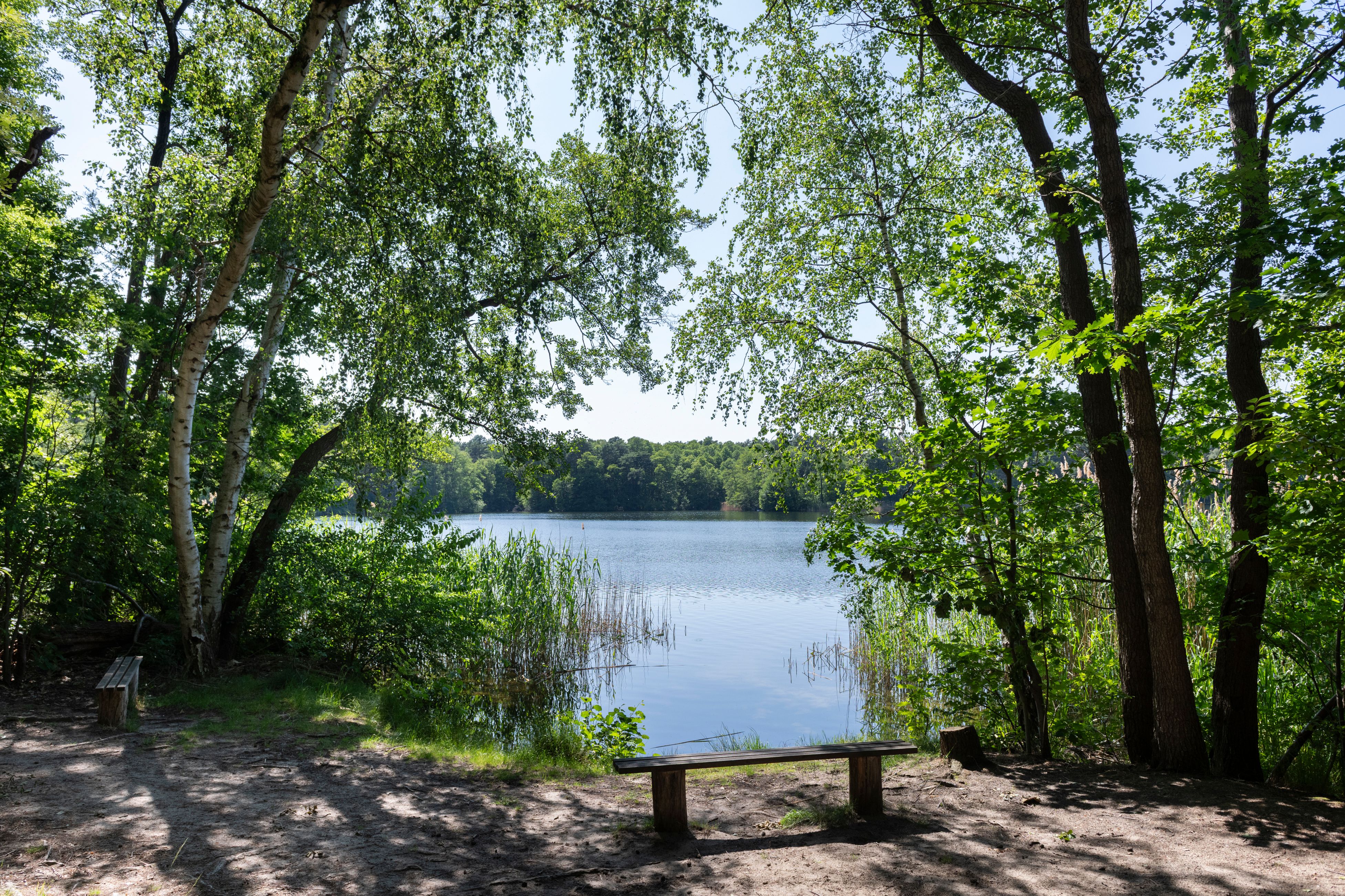 Windräder stoßen auf Widerstand: Milliarden im Wald von Teupitz unter dem Deckmantel des Klimaschutzes