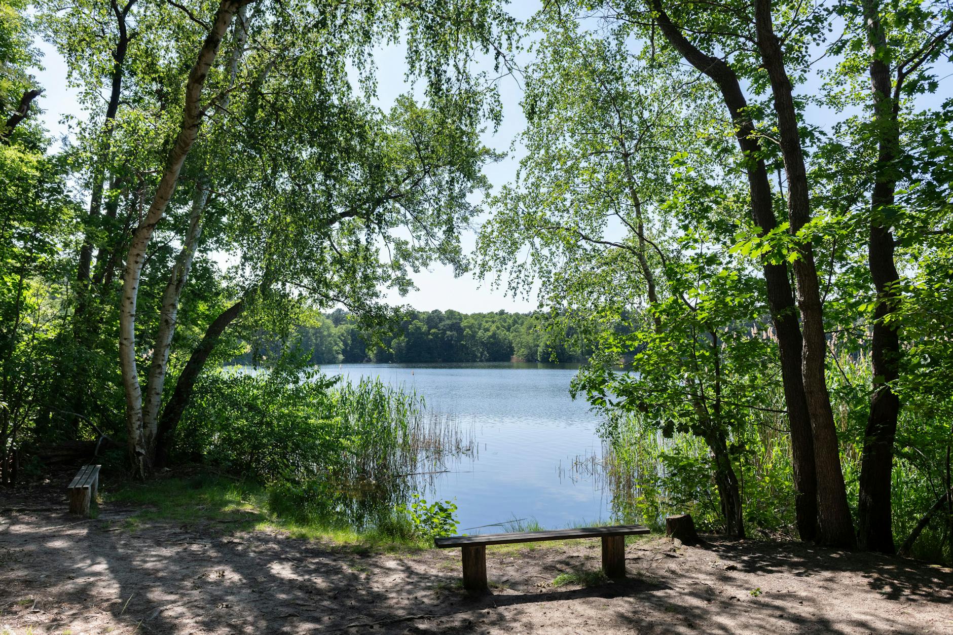Windpark statt Waldidyll? Der Tornowsee in Teupitz