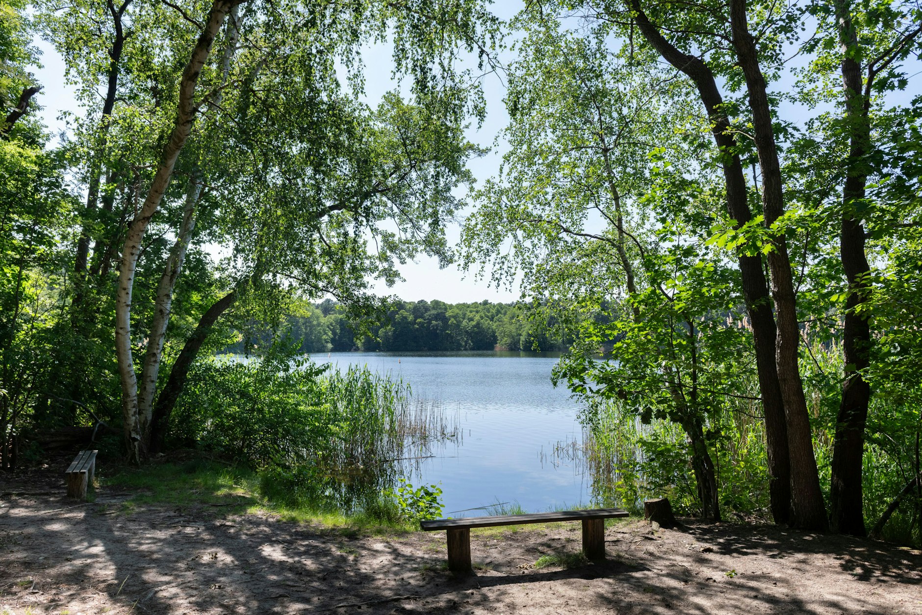 Windpark statt Waldidyll? Der Tornowsee in Teupitz