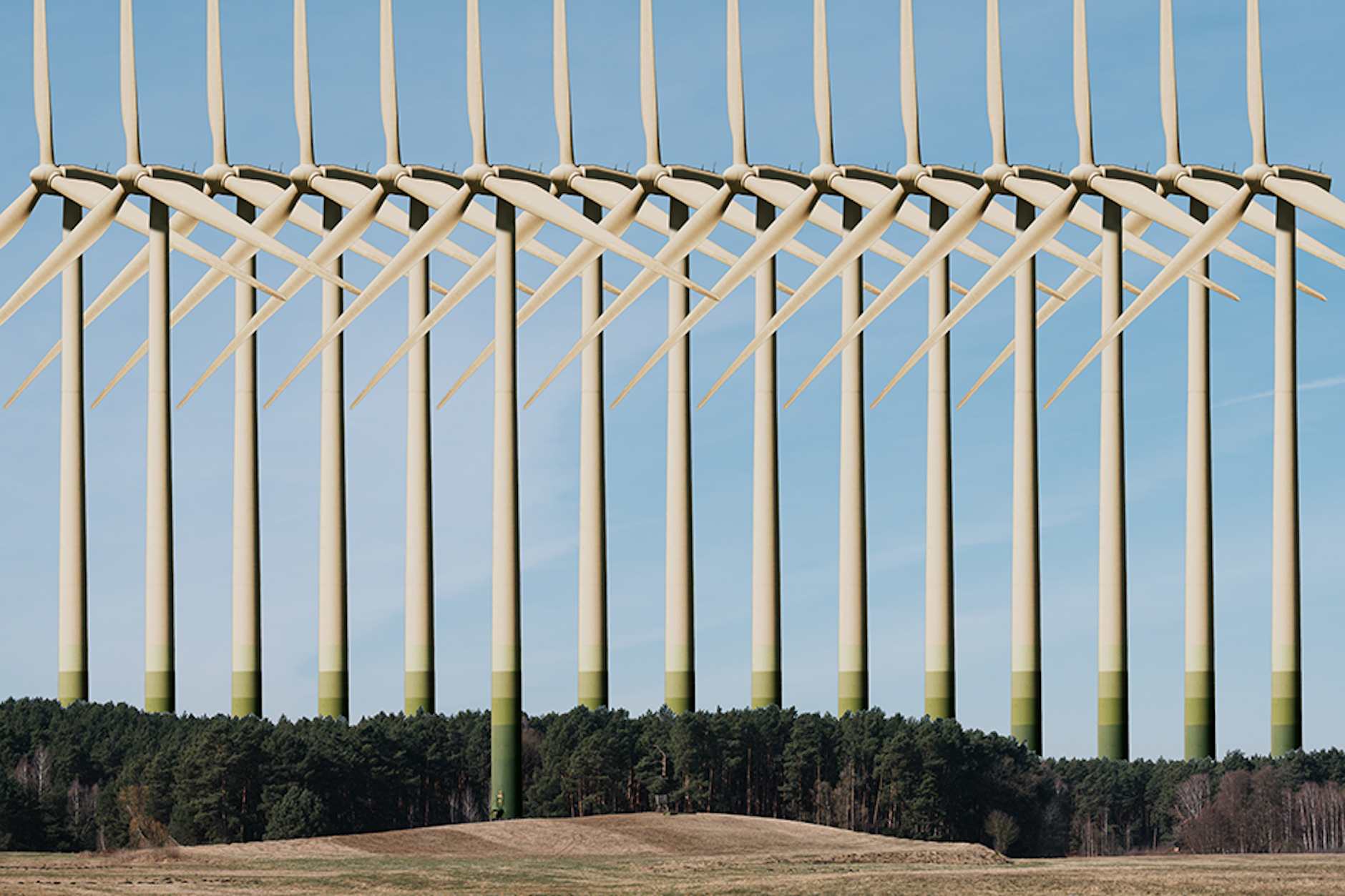 Geplante Windräder bei Teupitz: zehnmal so hoch wie die Kiefern des Waldes