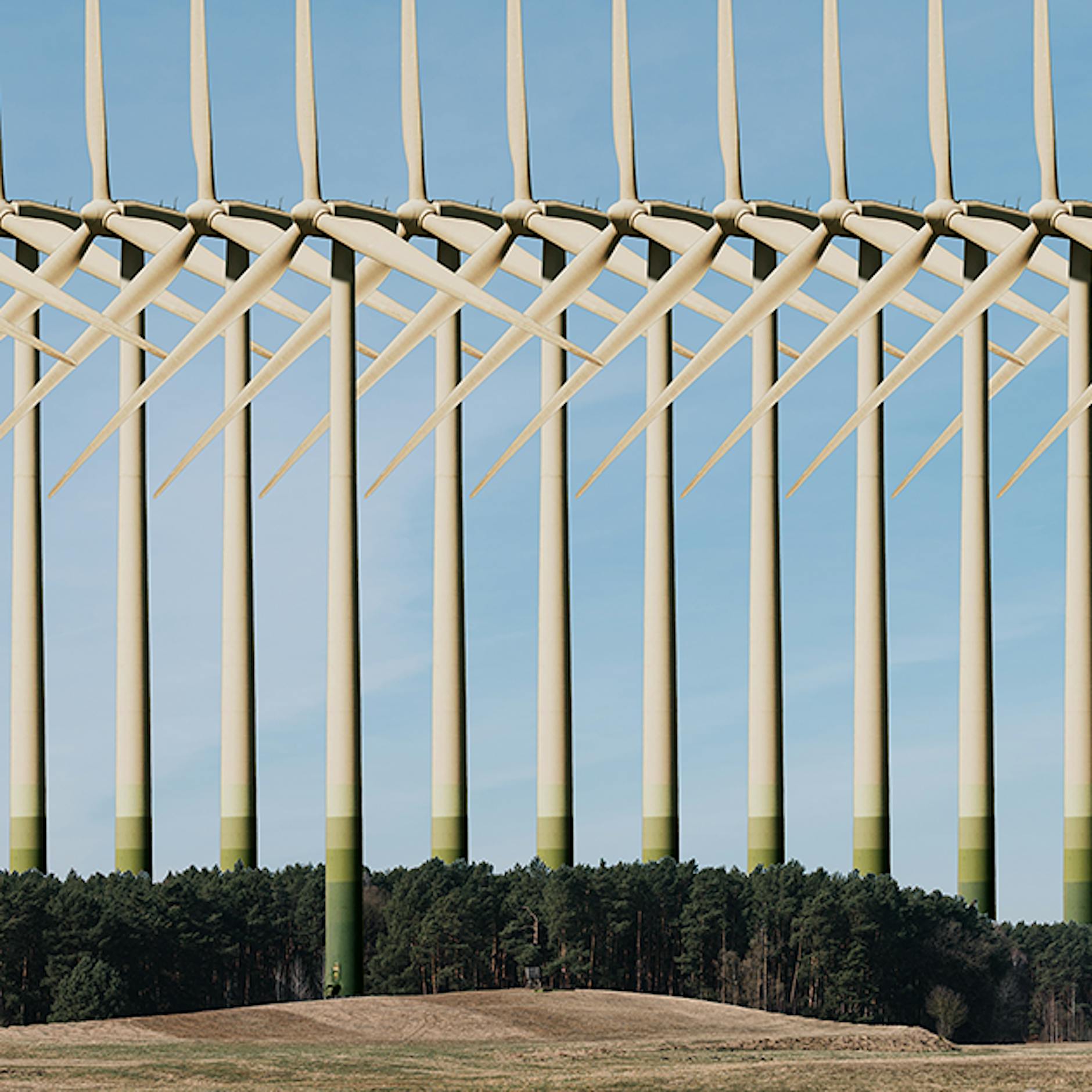 Monster-Windräder mitten im Schutzgebiet: Als herrsche in Brandenburgs Wäldern Rechtlosigkeit