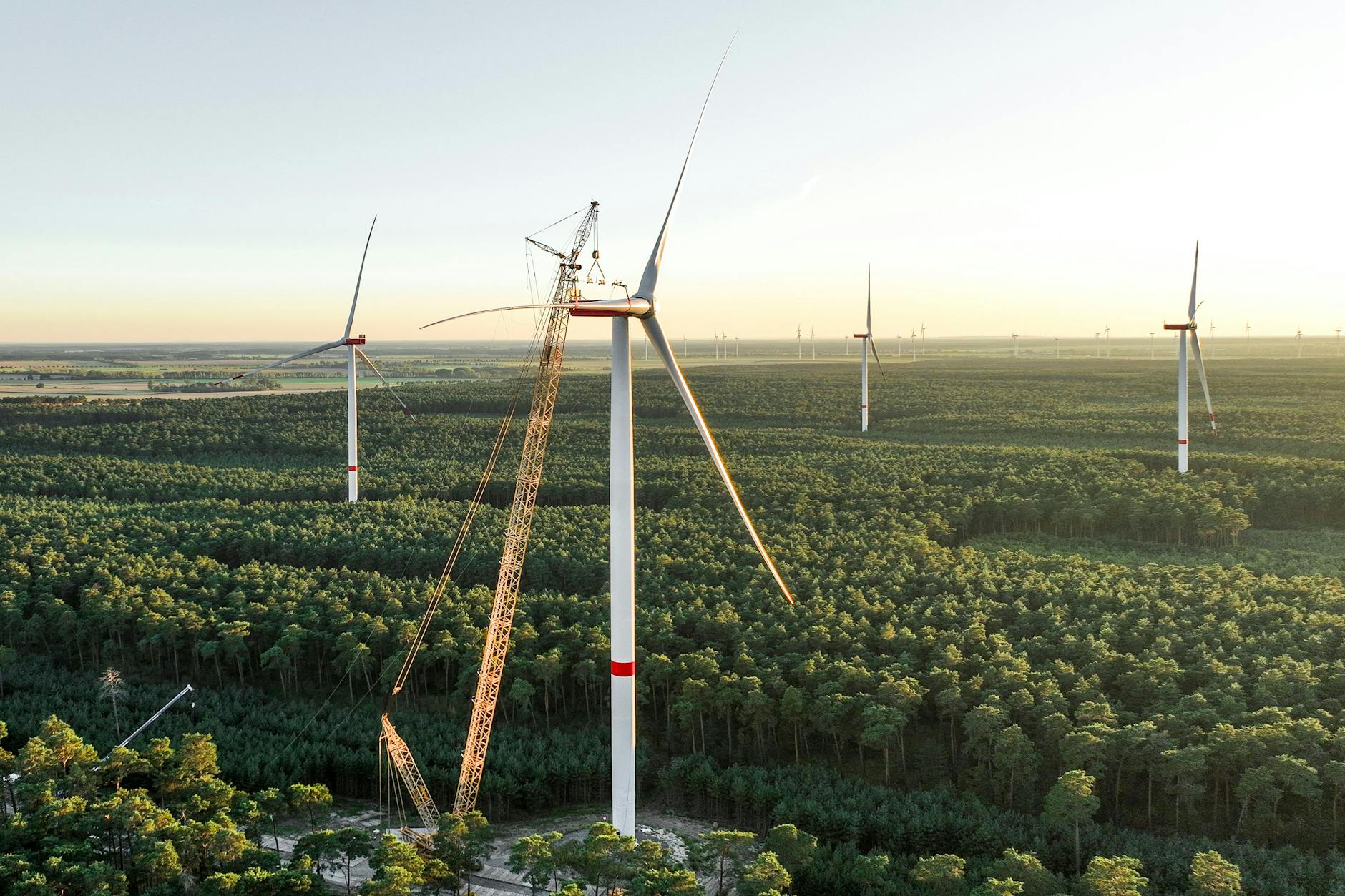 Windräder im Wald bei Ilmersdorf in Teltow-Fläming