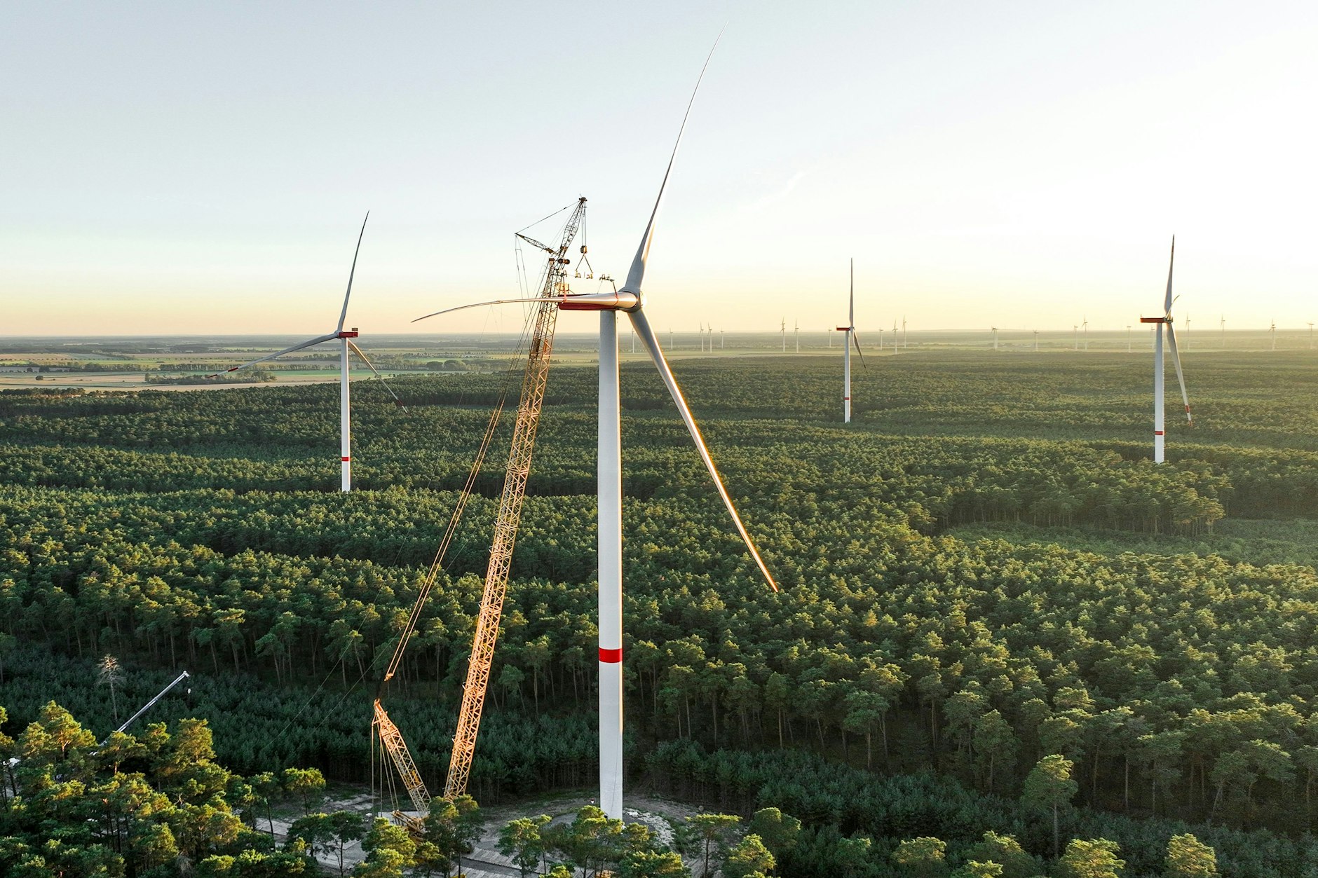 Windräder im Wald bei Ilmersdorf in Teltow-Fläming