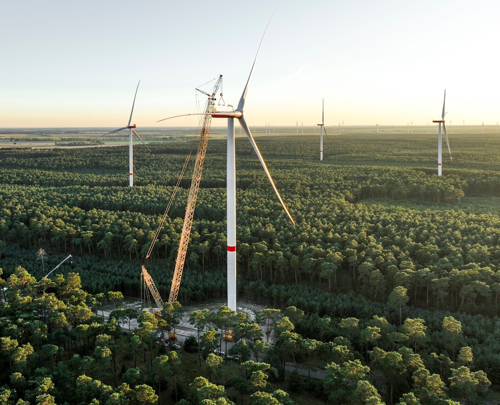 Windräder sind grundsätzlich eine zusätzliche Stressquelle für Wälder