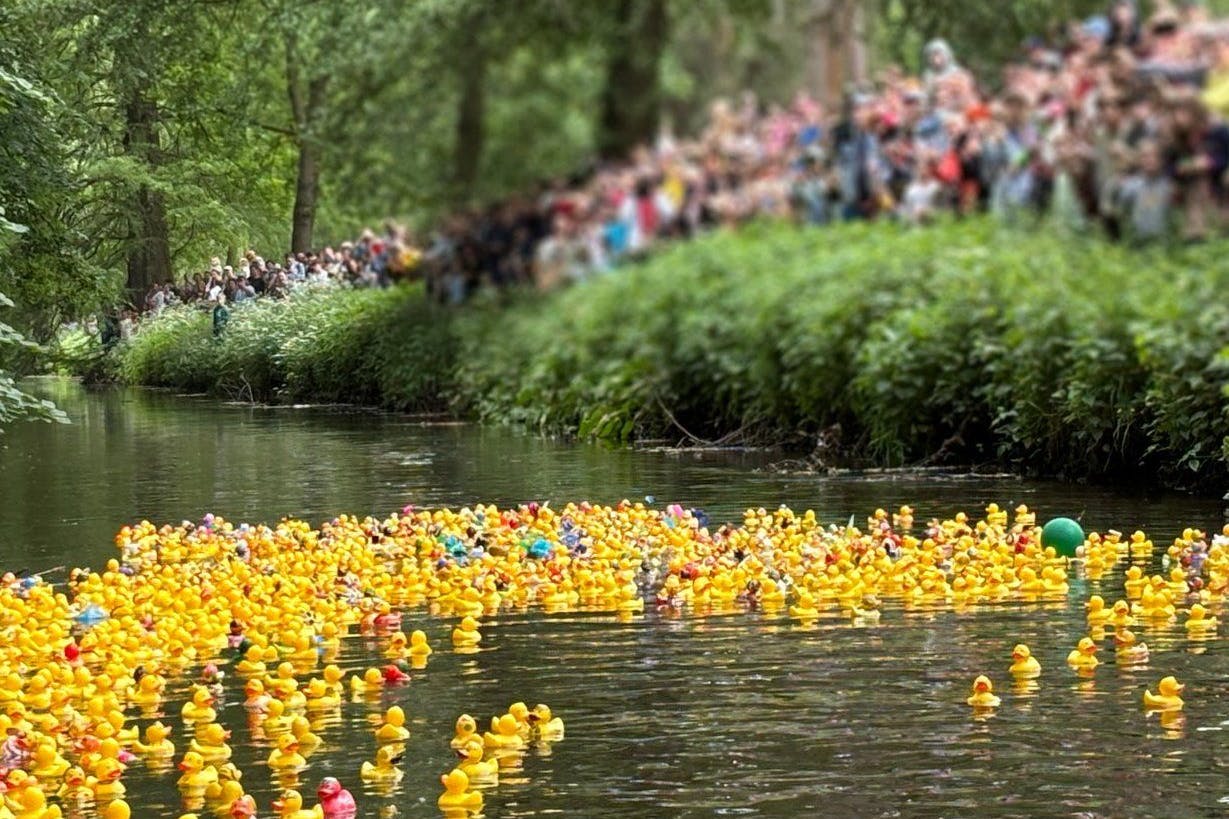 Das traditionelle Entenrennen in Pankow ist für 2025 abgesagt worden.