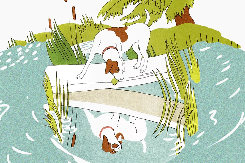 Hundsgemein: Wenn Flüsse, Teiche und Bäche austrocknen, leidet die gesamte Natur.