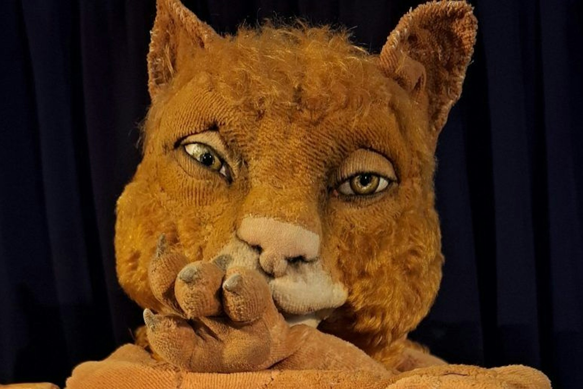 Matou, Kater mit sieben Leben und schriftstellerischem Talent