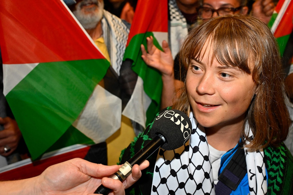 Greta Thunberg: Israeli authorities allegedly mistreated the activist